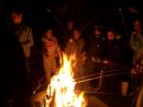 Celebrate Lag B'Omer!