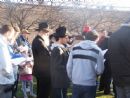 Saying the Bircas HaChamah (Sun Blessing) in the park.